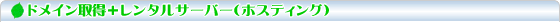 ドメイン取得＋レンタルサーバー（ホスティング）