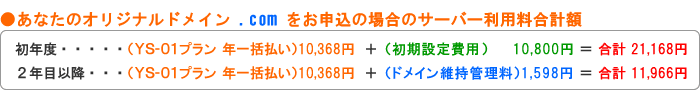 あなたのオリジナルドメイン .com をお申込の場合のサーバー利用料合計額